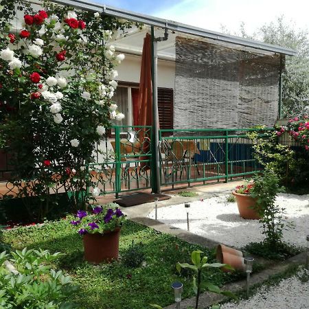 Vile Park Apartments Poreč Exteriör bild