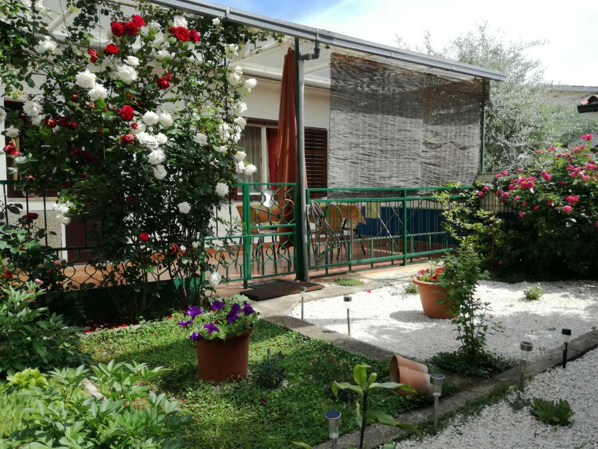 Vile Park Apartments Poreč Exteriör bild